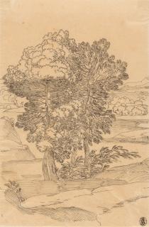 Heinrich Reinhold - Baumgruppe in der Serpentara.