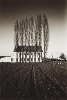 Heinrich Riebesehl - Ohne Titel (aus der Serie: Agrarlandschaften)