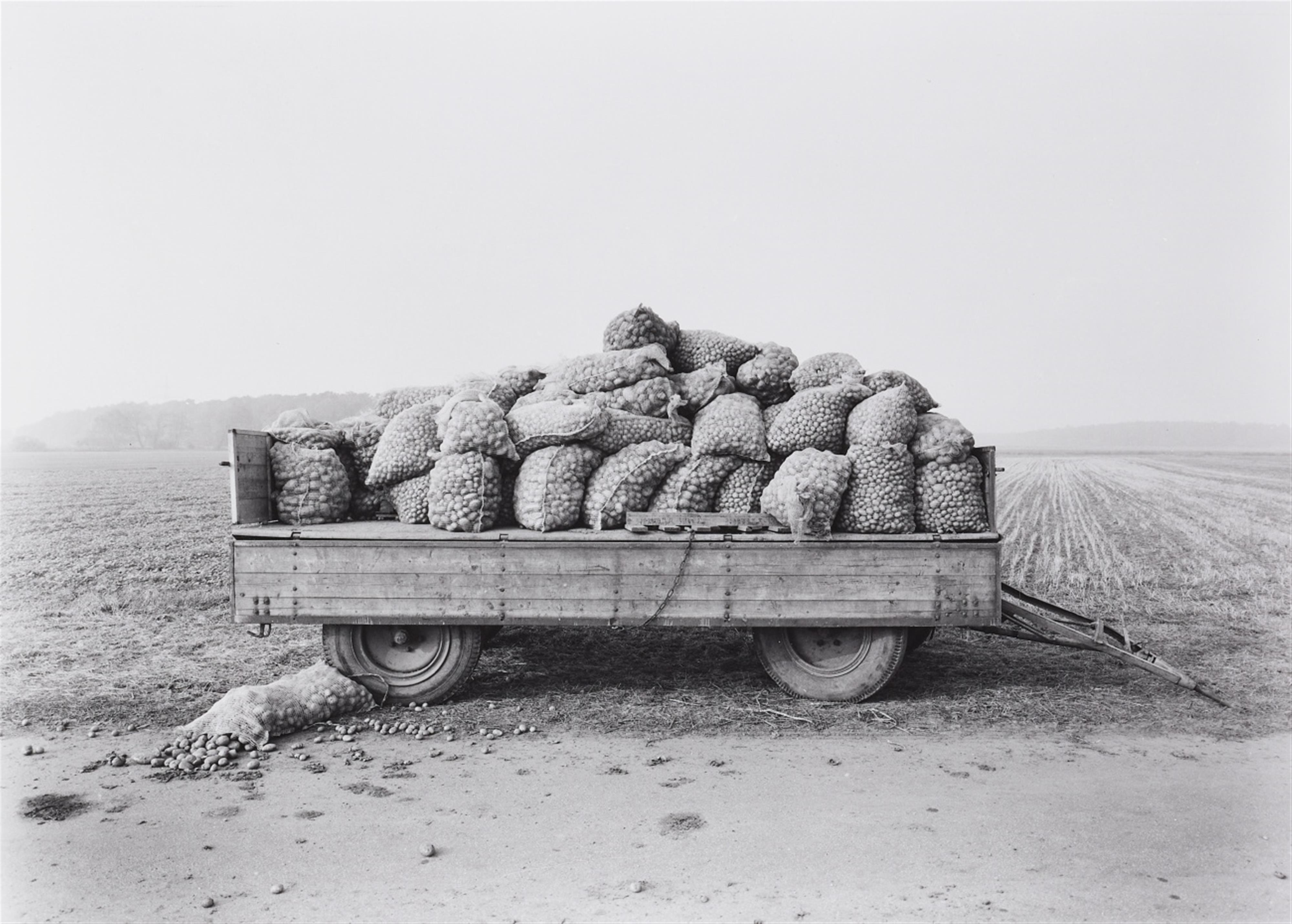 Heinrich Riebesehl - Schillerslage, Hannover (aus der Serie: Agrarlandschaften)