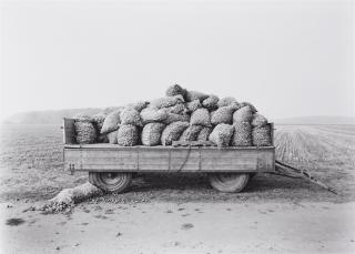 Heinrich Riebesehl - Schillerslage, Hannover (aus der Serie: Agrarlandschaften)