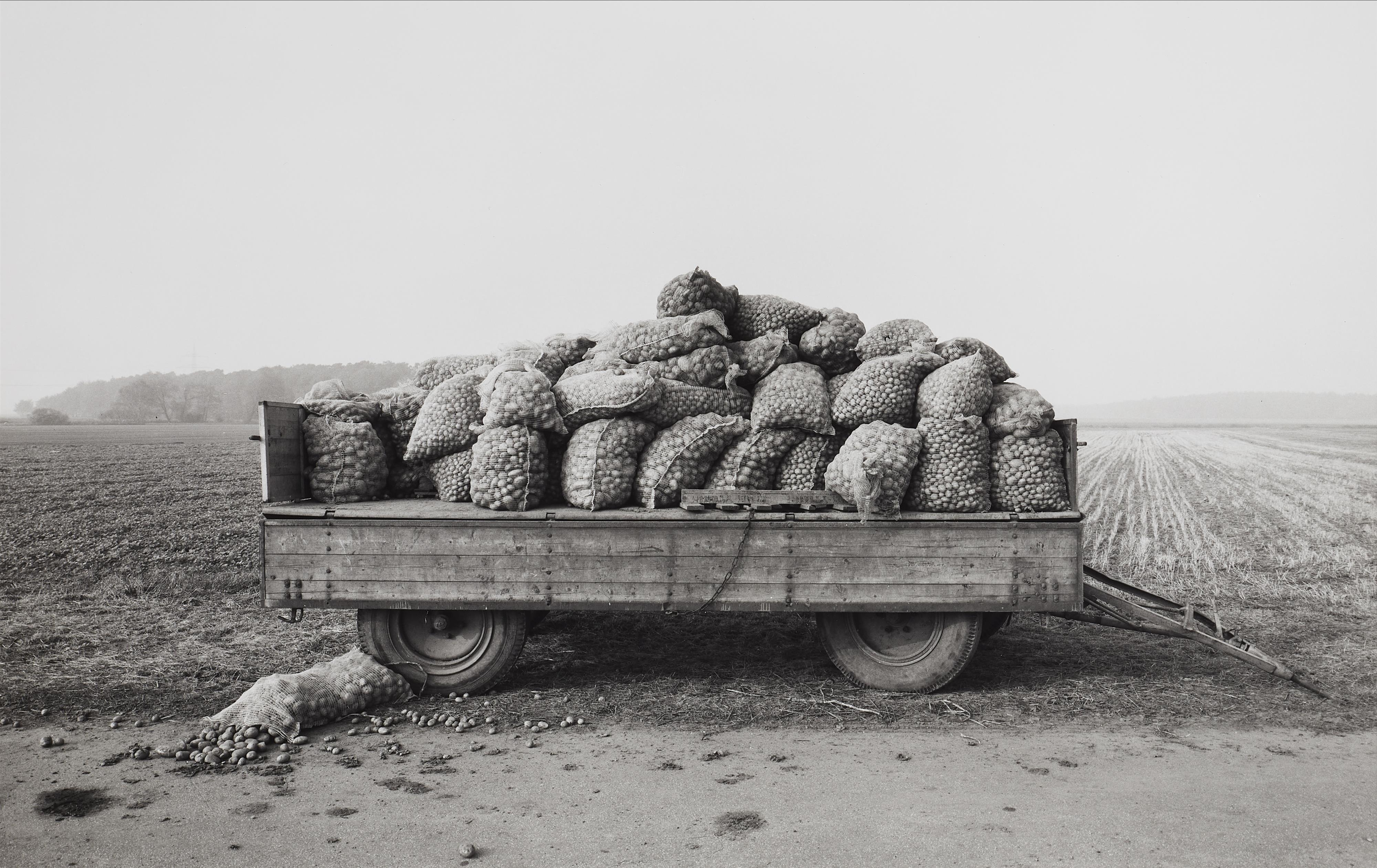 Heinrich Riebesehl - Schillerslage, Hannover (aus der Serie: Agrarlandschaften)