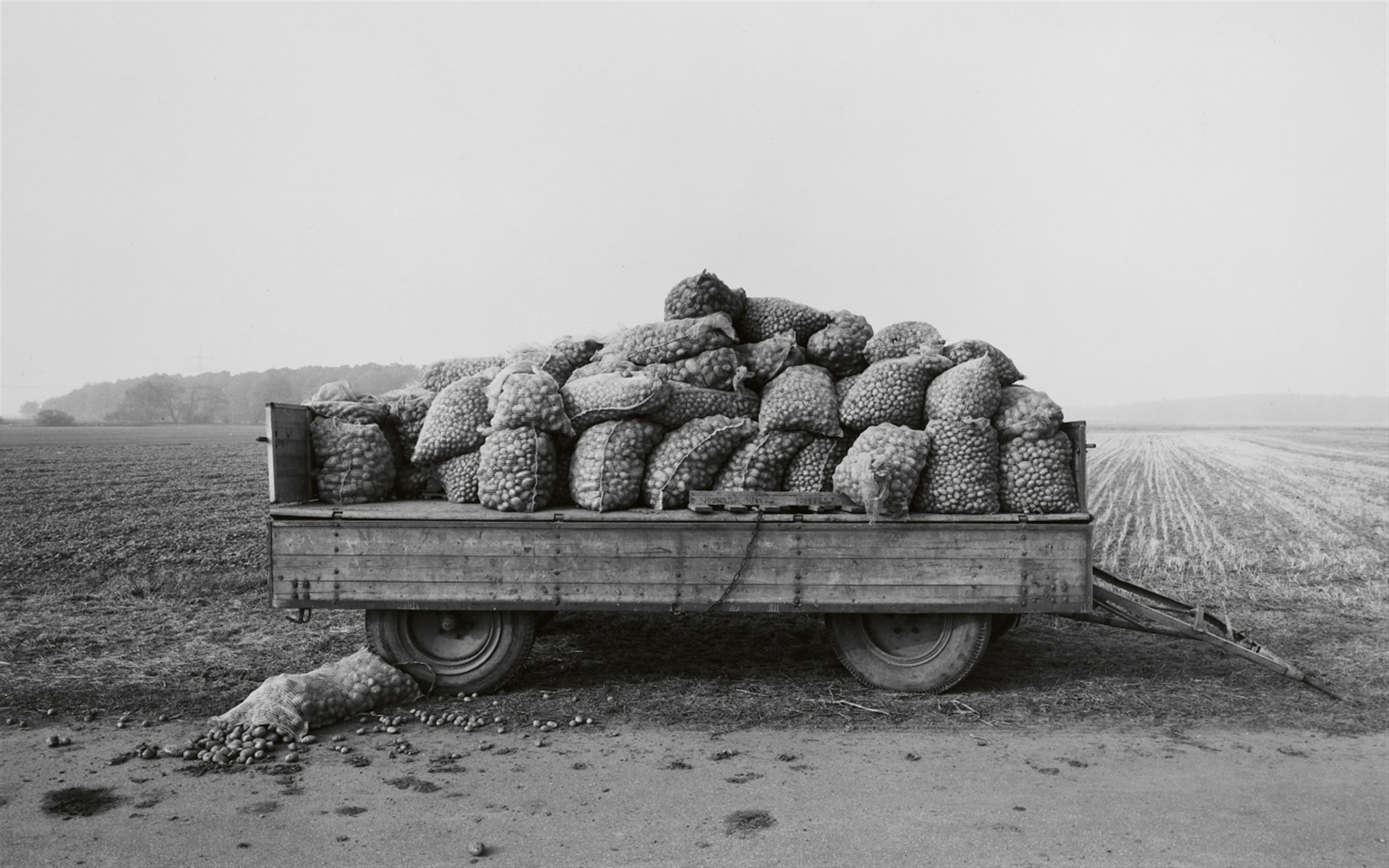 Heinrich Riebesehl - Schillerslage, Hannover (aus der Serie: Agrarlandschaften)