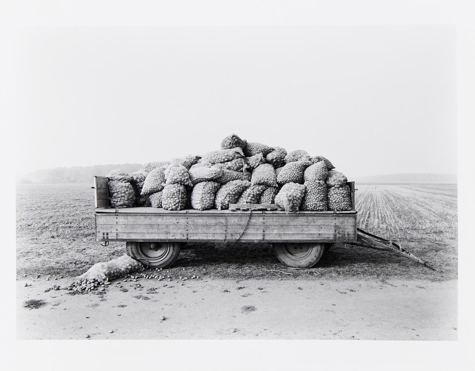 Heinrich Riebesehl - \