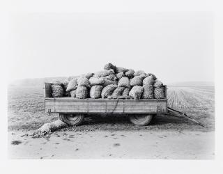 Heinrich Riebesehl - \