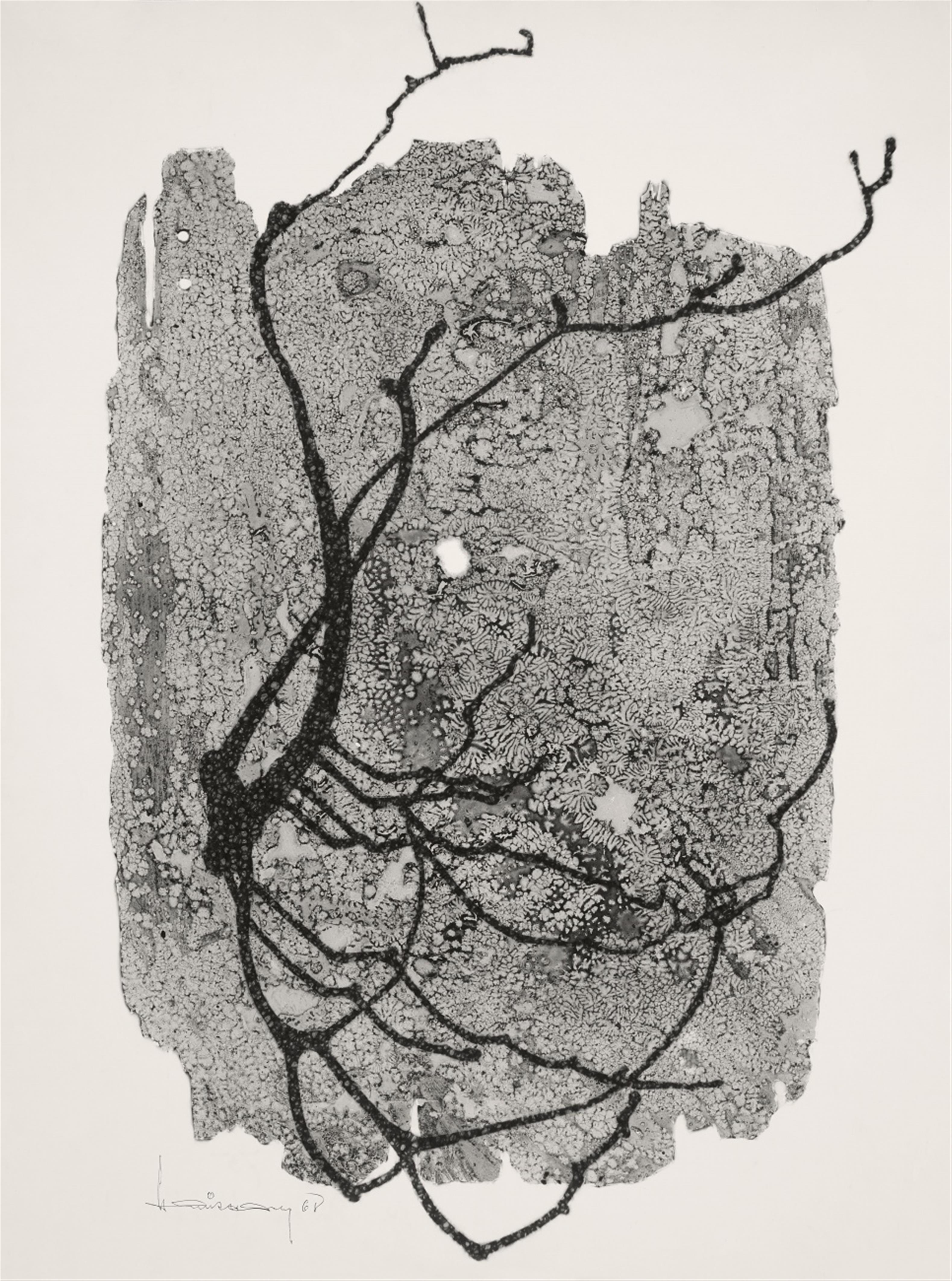 Heinz Hajek-Halke - \