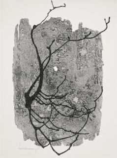 Heinz Hajek-Halke - \