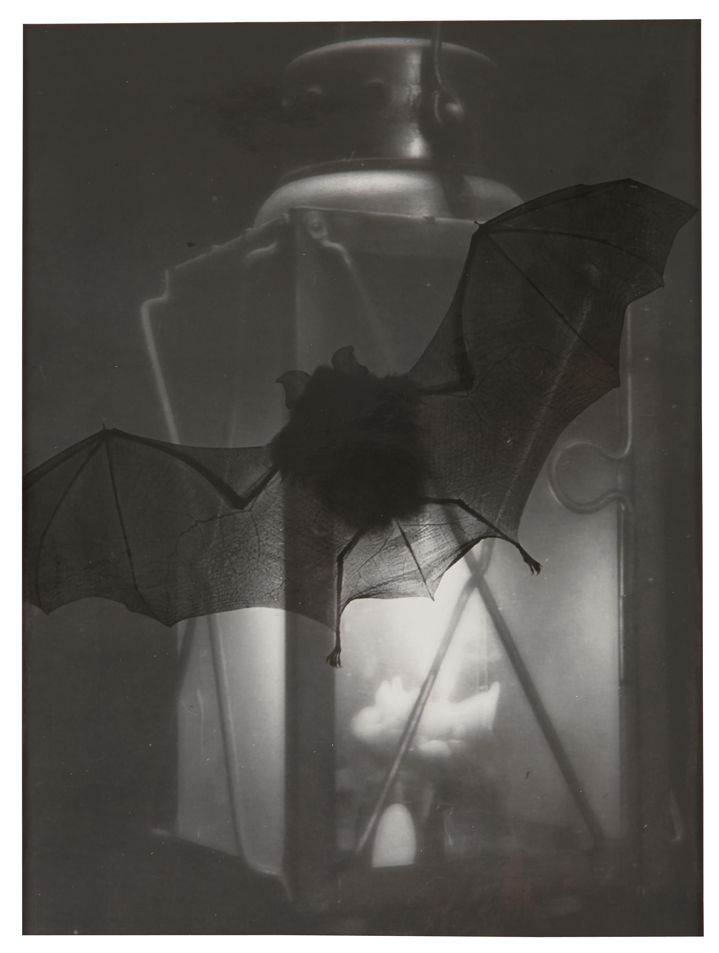 Heinz Hajek-Halke - Untitled, circa 1930-1940