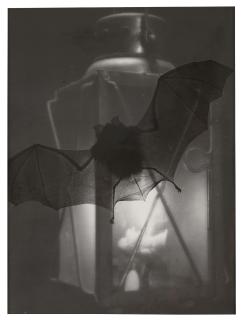 Heinz Hajek-Halke - Untitled, circa 1930-1940