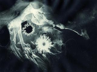 Heinz Hajek-Halke - Windrosen