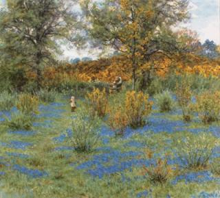 Helen Allingham, R.W.S. - The bluebell copse