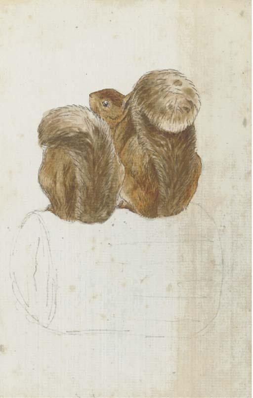 Helen Beatrix Potter - A Preliminary Design For The Back of A Shaped Greetings Card - Two Squirrels On A Log Seen From Behind