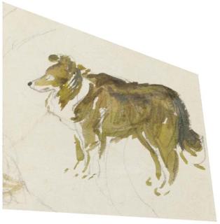 Helen Beatrix Potter - A Study of Kep