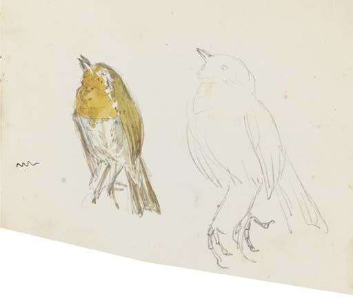Helen Beatrix Potter - Studies of The Robin In The Tale of Peter Rabbit (Recto) And A Microscopic Drawing (Verso)