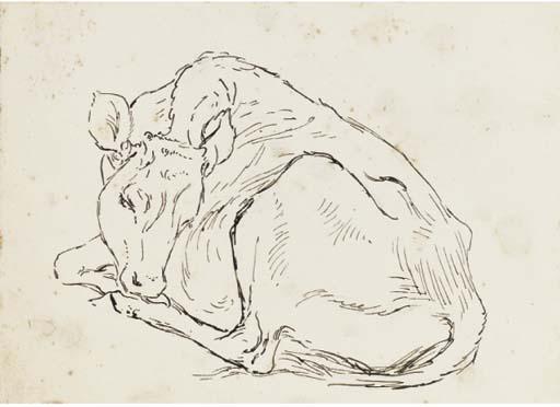 Helen Beatrix Potter - Study of A Calf
