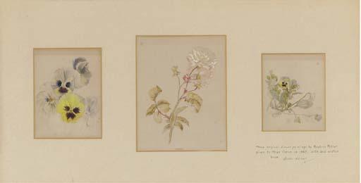 Helen Beatrix Potter - Three Flower Studies of Roses And Pansies