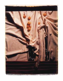 Helen Chadwick - Meat Abstract No. 6: Cutlery