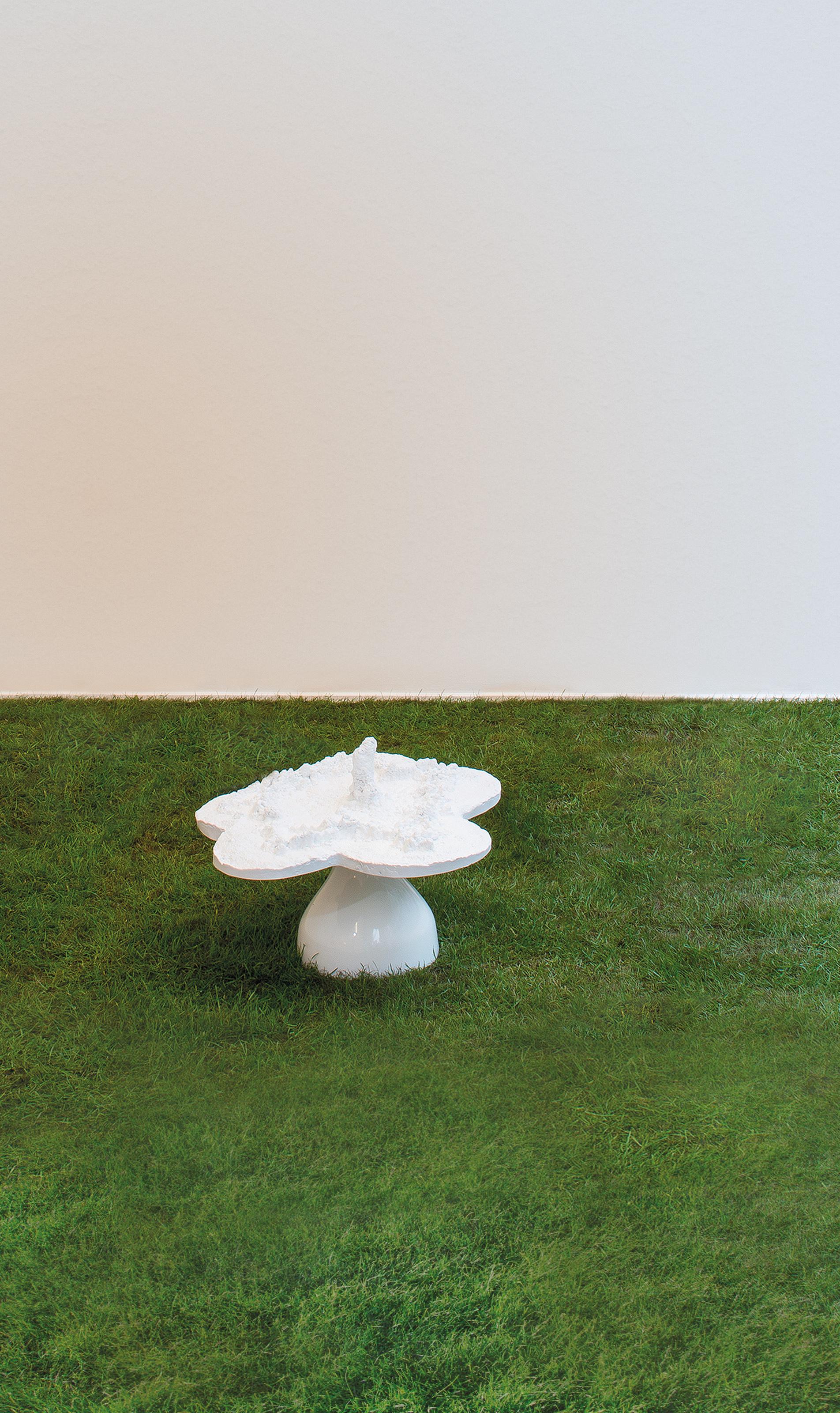 Helen Chadwick - Piss Flowers