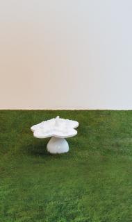 Helen Chadwick - Piss Flowers