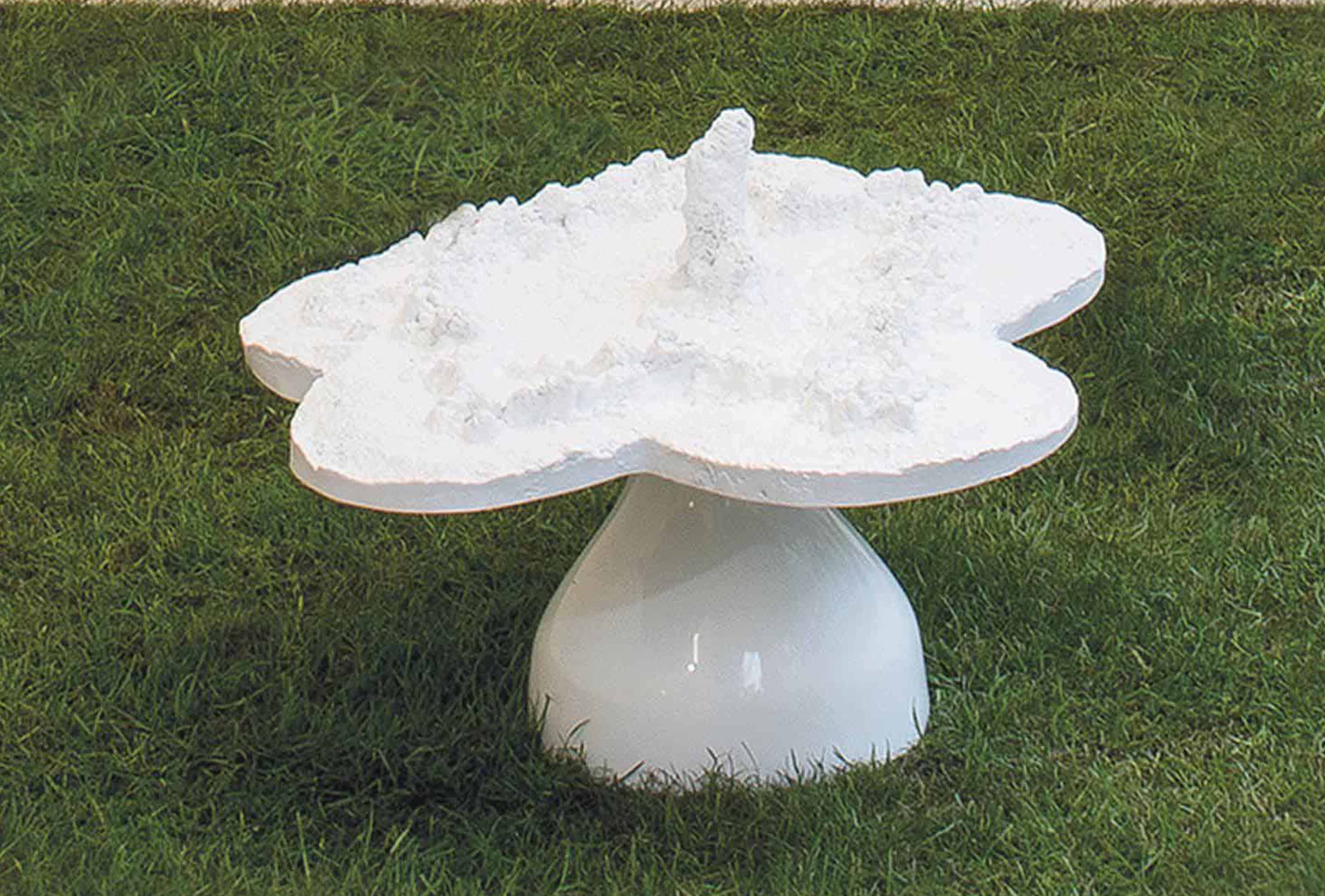 Helen Chadwick - Piss Flowers