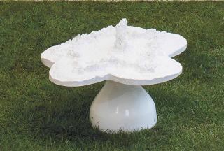 Helen Chadwick - Piss Flowers