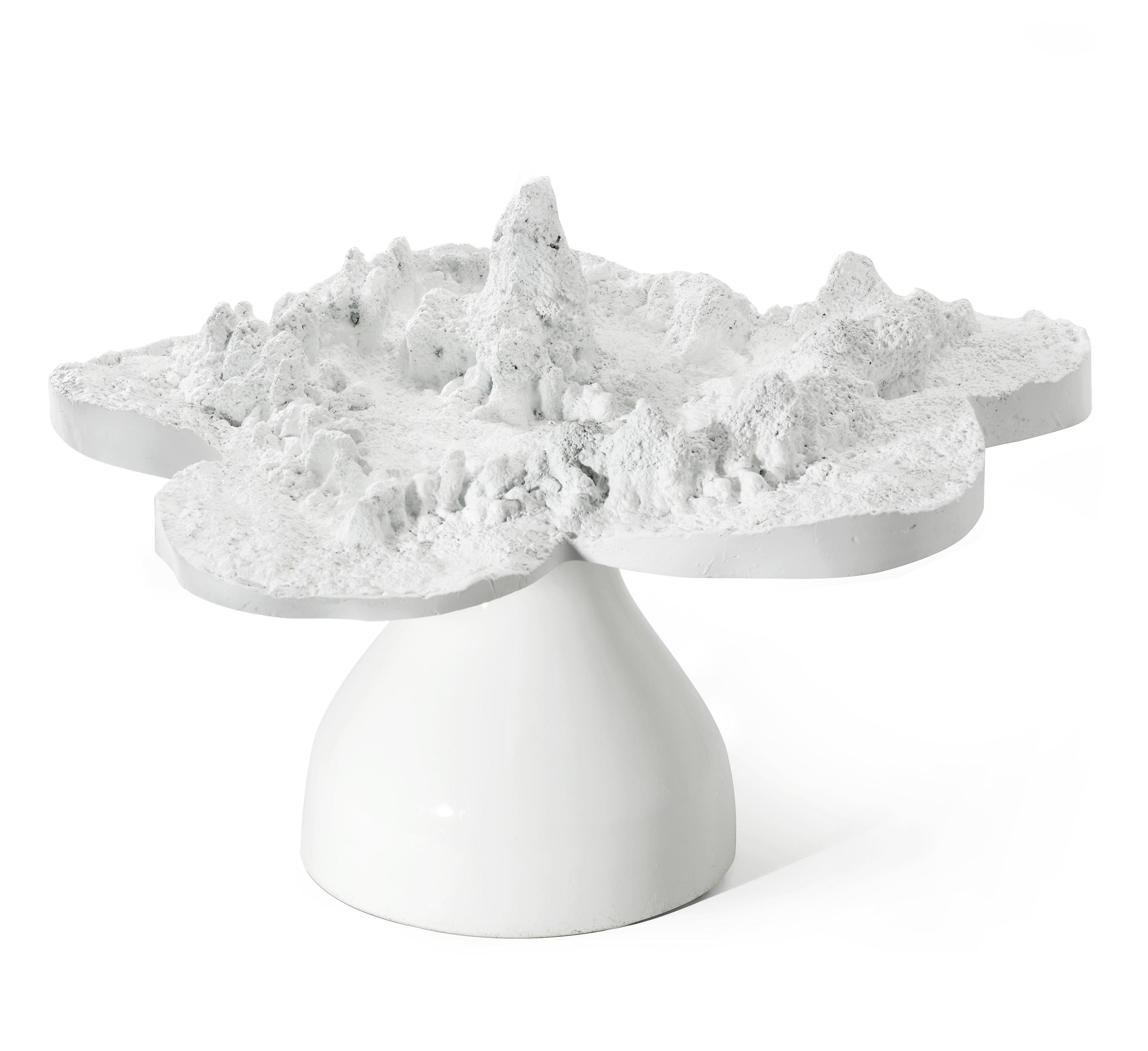 Helen Chadwick - Piss Flowers