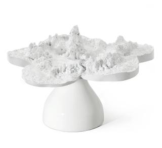 Helen Chadwick - Piss Flowers