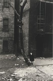 Helen Levitt - \'Nyc\' (Masked Children By Tree)