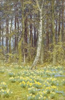 Helen Mary Elizabeth Allingham, R.W.S. - The daffodil wood