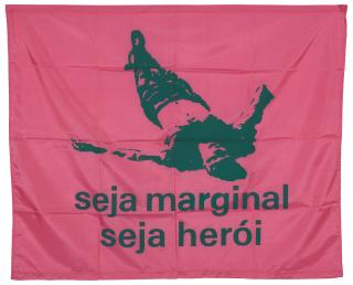Hélio Oiticica - Seja marginal, seja herói (Be a Hero, Be an Outlaw)