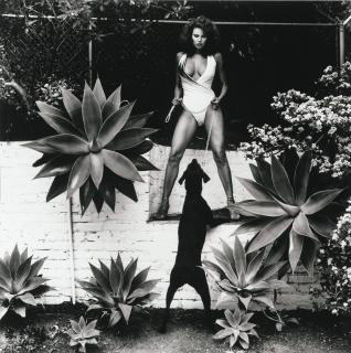 Helmut Newton - \'Raquel Welch In Her Backyard, Beverly Hills\', 1980Silver Print. Signed, Titled And Dated In Ball Point Pen On The Reverse. Mounted And Framed.
