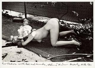 Helmut Newton - \
