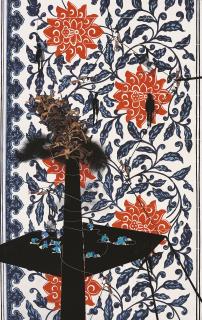 Hema Upadhyay - ACROBATS AND THEIR SCENES