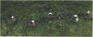 Hema Upadhyay - Of Vanishing Playgrounds