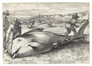 Hendrick Goltzius - A Collection of Prints