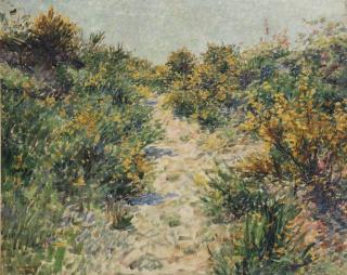 Hendrik Jan Wolter - Flowering Broom