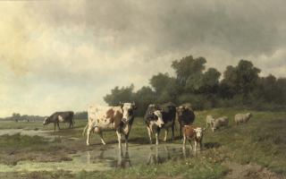 Hendrik Savry - Cattle in the meadow