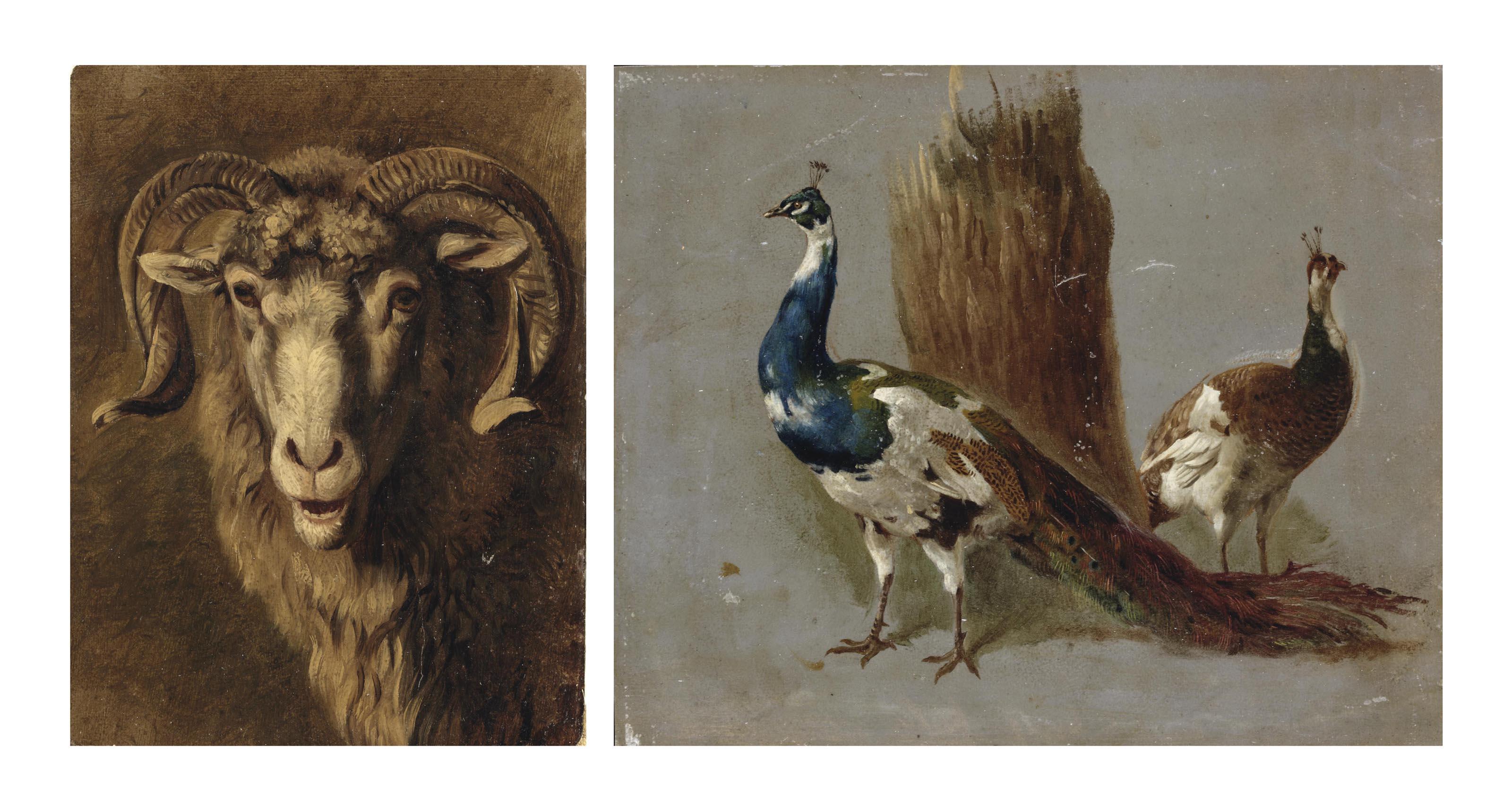 Hendrik Stokvisch - A Ouessant sheep; A peacock and a peahen; and A goat