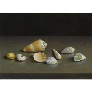 Henk Helmantel - Stilleven Met Schelpjes