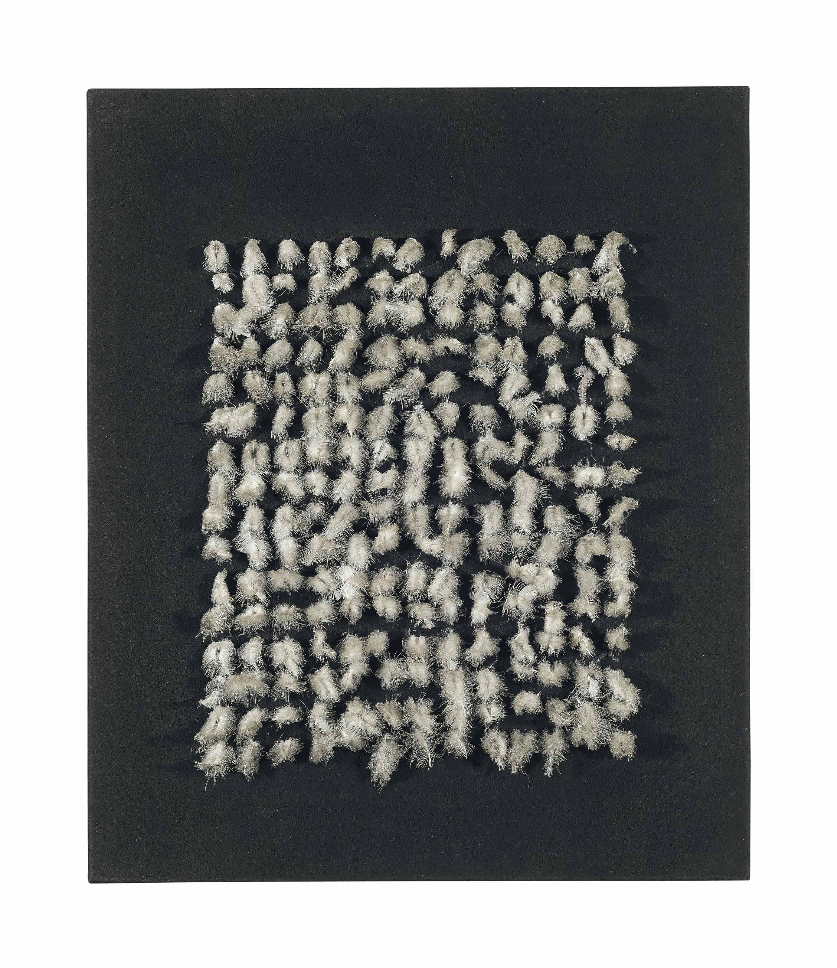 Henk Peeters - Witte Veertjes op Zwart (White Feathers on Black)