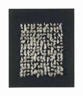 Henk Peeters - Witte Veertjes op Zwart (White Feathers on Black)