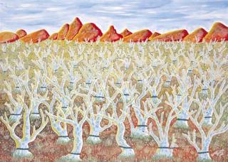 Henri Bastin - Ringbarked