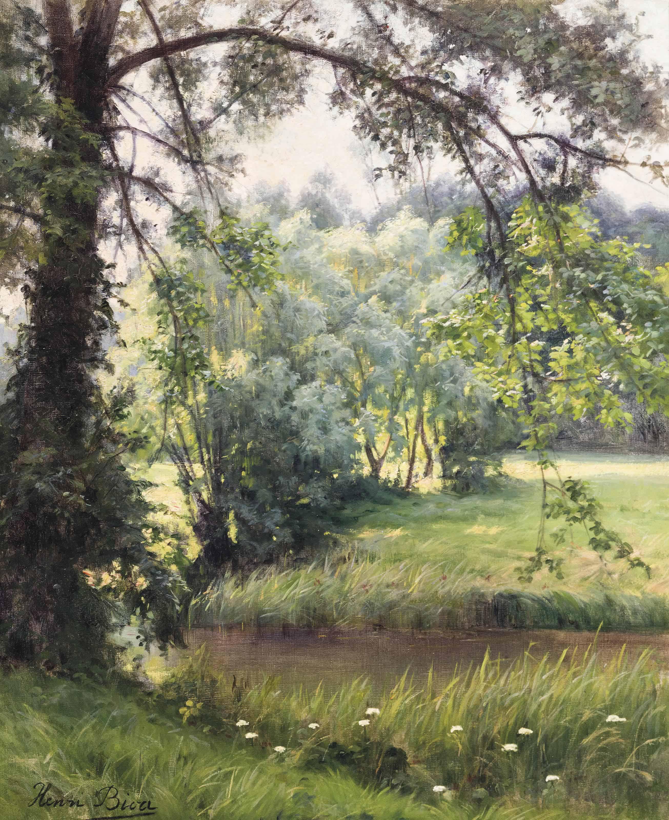 Henri Biva - A woodland river