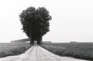 Henri Cartier-Bresson - Brie, 1966