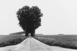 Henri Cartier-Bresson - Brie, France (1968)