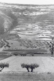 Henri Cartier-Bresson - Castilla, Spain, 1953