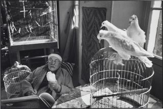 Henri Cartier–Bresson - Henri Matisse, Vence, France, 1944