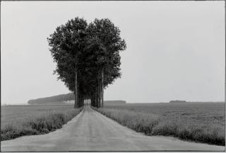 Henri Cartier-Bresson - La Plaine de la Brie, 1968