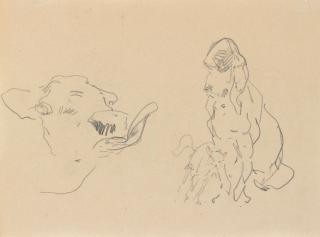 Henri De Toulouse-Lautrec - Boeuf, chien, chat (recto); Graffiti (verso)