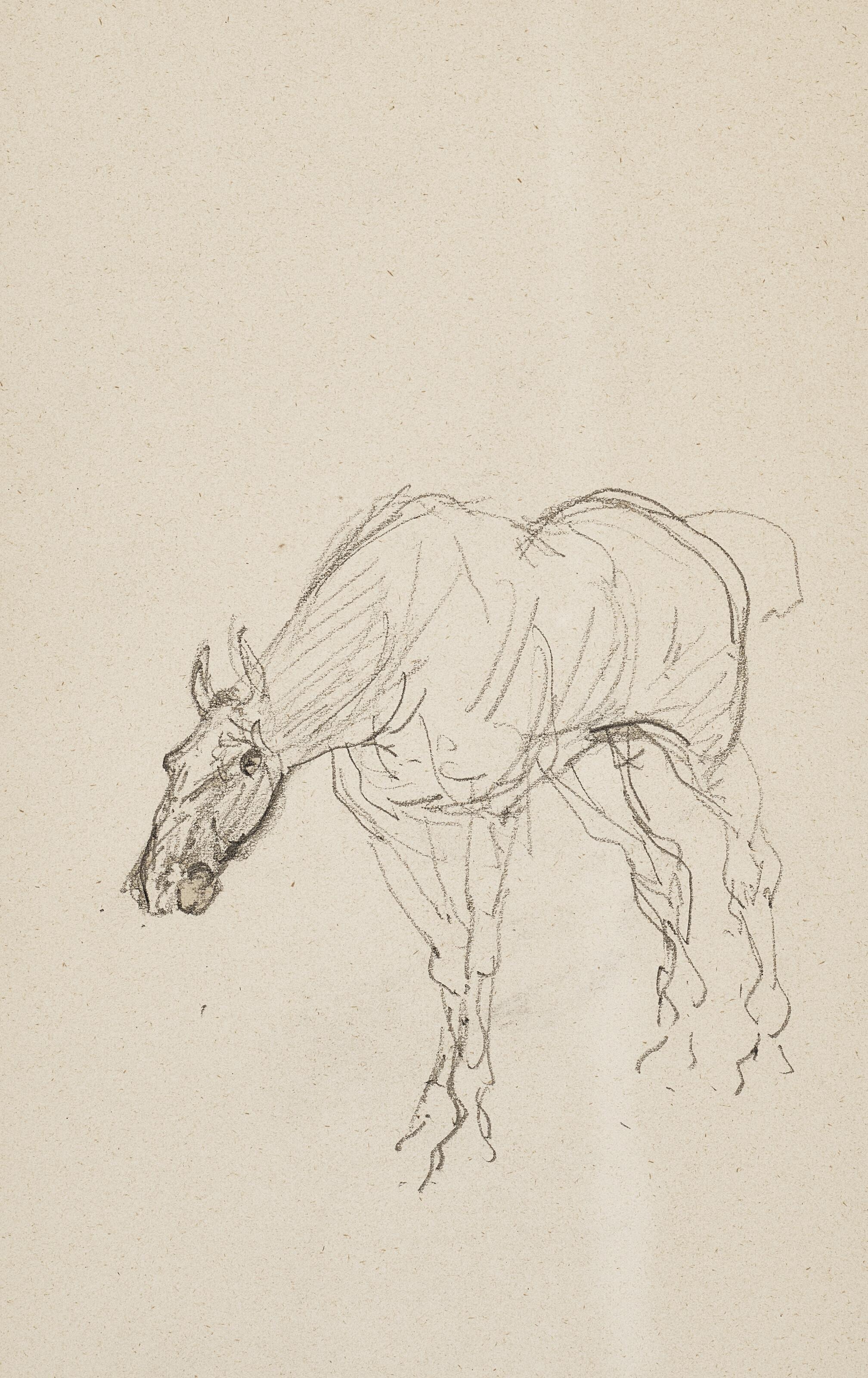 Henri de Toulouse-Lautrec - Cheval (recto); Cheval et sabots (verso)