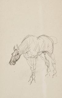 Henri de Toulouse-Lautrec - Cheval (recto); Cheval et sabots (verso)